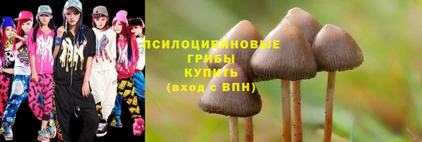 героин Горняк