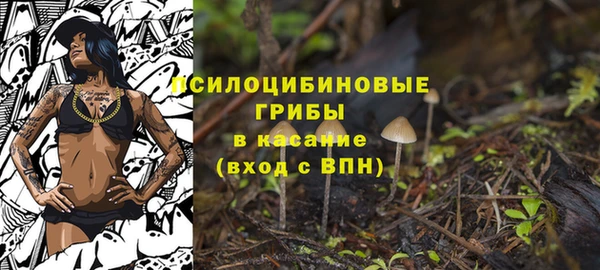 героин Горняк