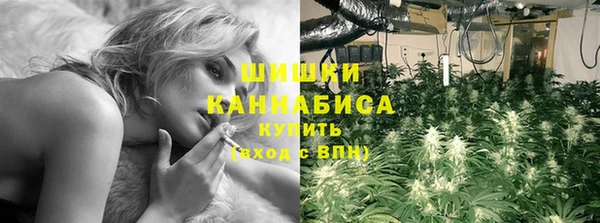 альфа пвп Горно-Алтайск
