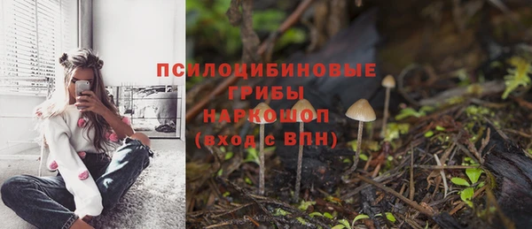 стаф Володарск
